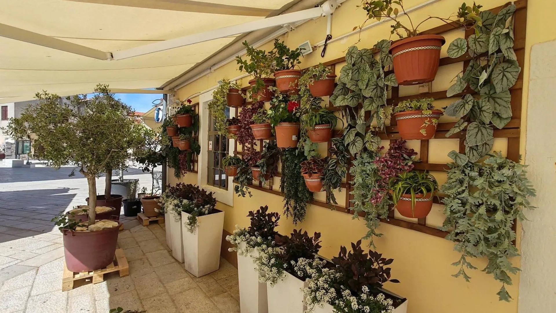 Apartman Ema Fazana 0*,  Croatia